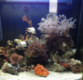 FTS